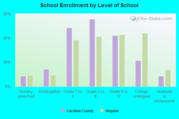 School Enrollment by Level of School