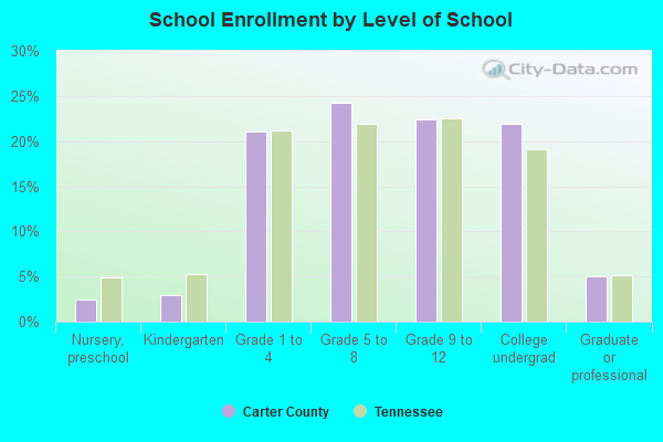 School Enrollment by Level of School