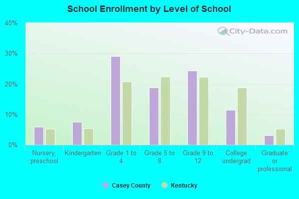 School Enrollment by Level of School