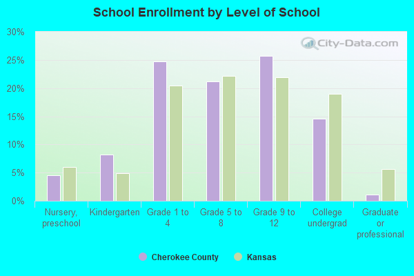 School Enrollment by Level of School