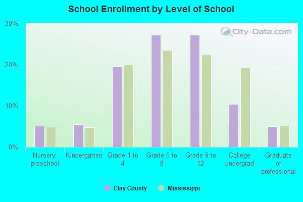 School Enrollment by Level of School