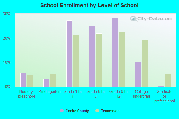 School Enrollment by Level of School