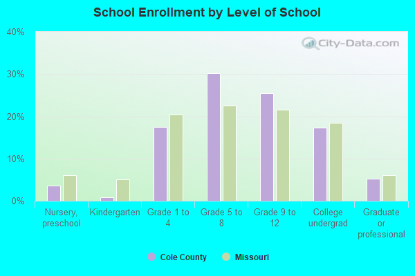 School Enrollment by Level of School