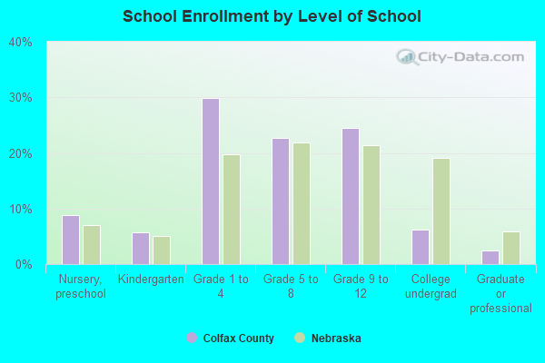 School Enrollment by Level of School