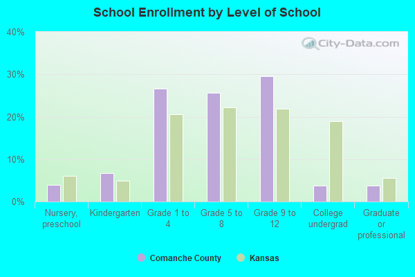 School Enrollment by Level of School