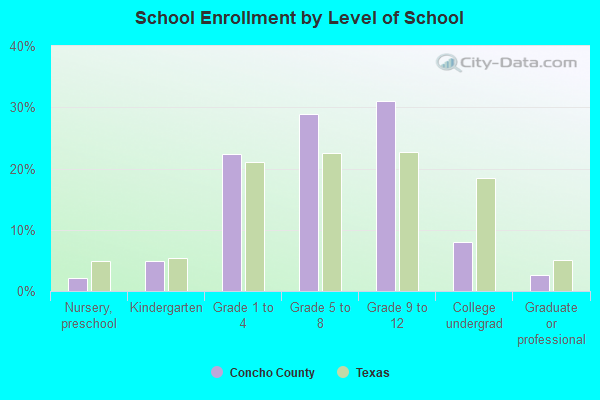 School Enrollment by Level of School