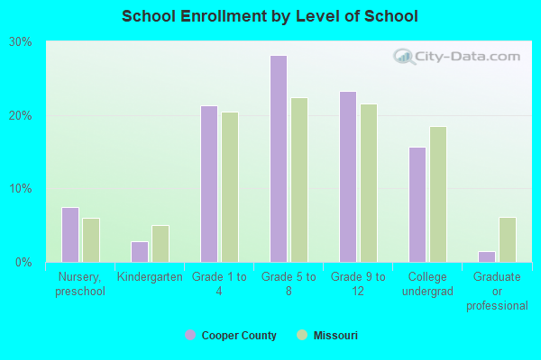 School Enrollment by Level of School