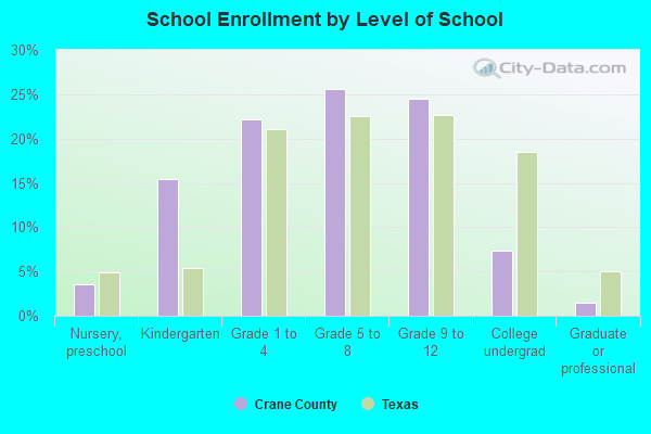 School Enrollment by Level of School