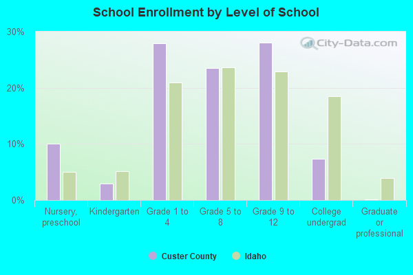 School Enrollment by Level of School