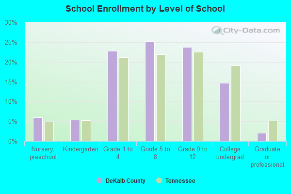 School Enrollment by Level of School