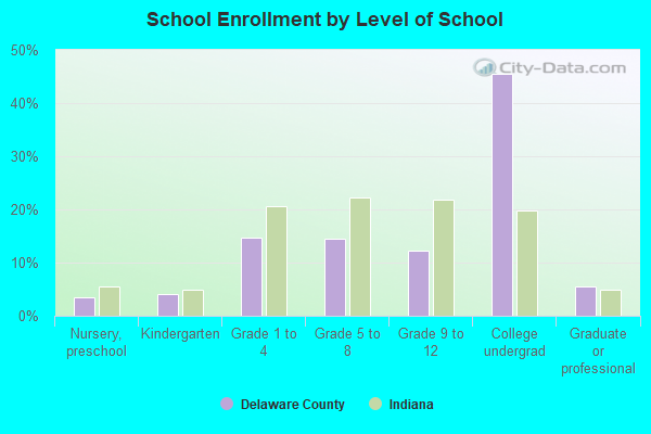 School Enrollment by Level of School