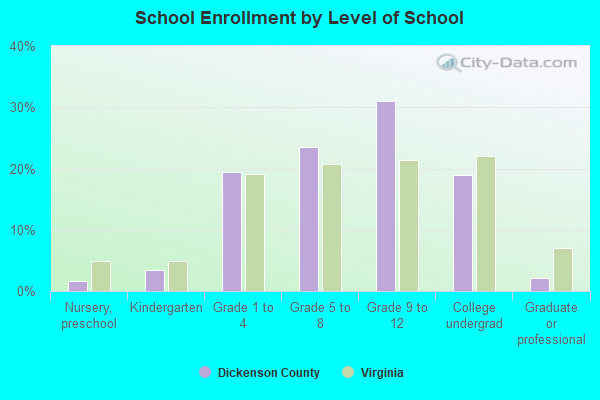 School Enrollment by Level of School