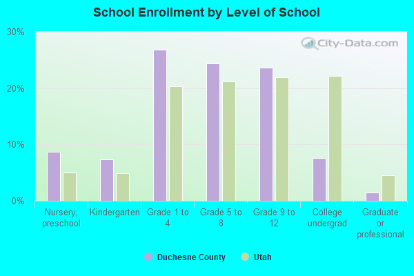 School Enrollment by Level of School