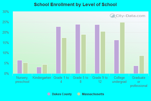 School Enrollment by Level of School