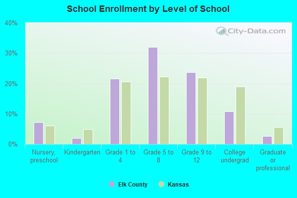 School Enrollment by Level of School