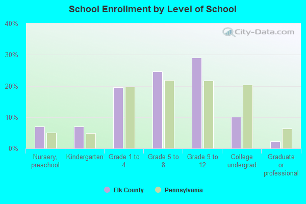 School Enrollment by Level of School