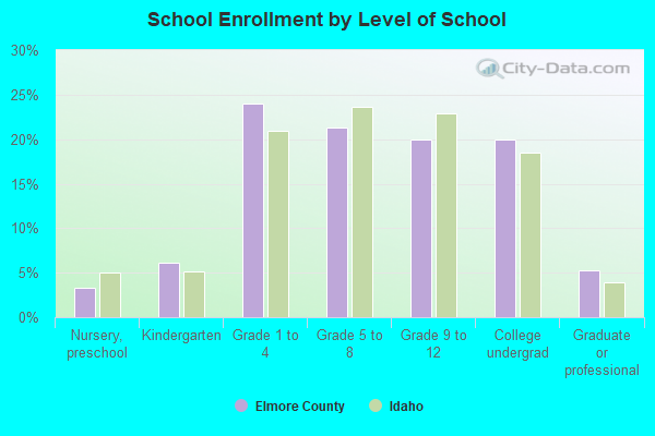 School Enrollment by Level of School