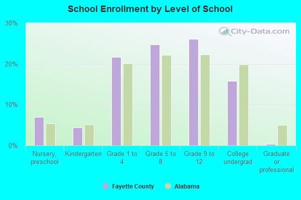 School Enrollment by Level of School