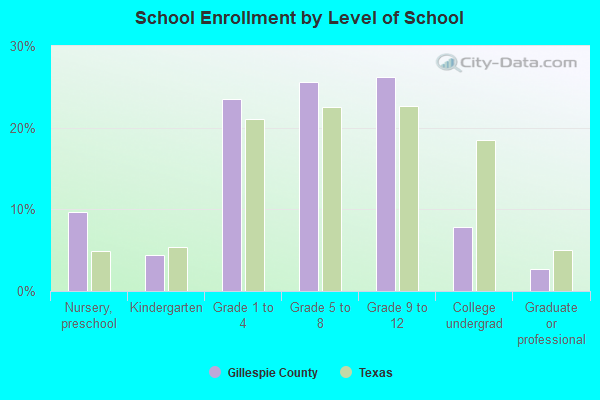 School Enrollment by Level of School