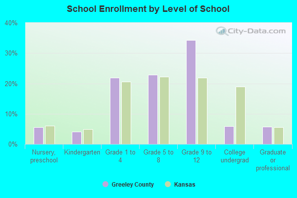 School Enrollment by Level of School