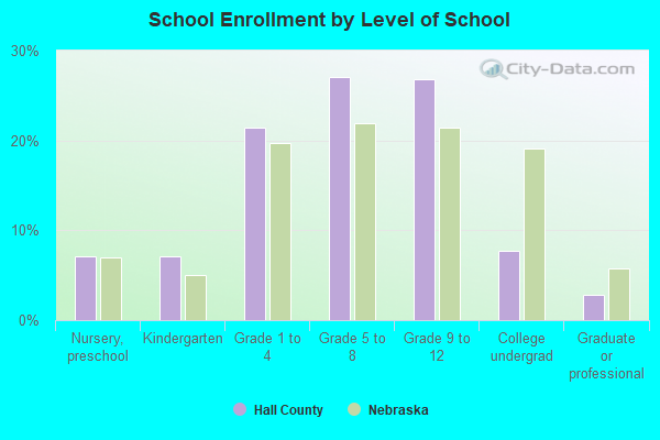 School Enrollment by Level of School