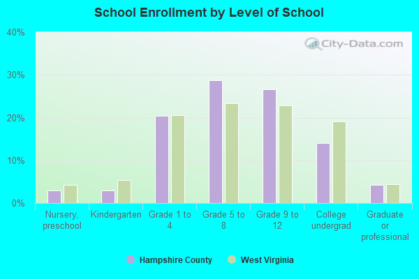 School Enrollment by Level of School