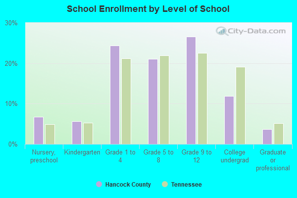 School Enrollment by Level of School