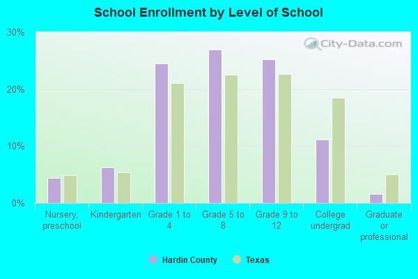 School Enrollment by Level of School