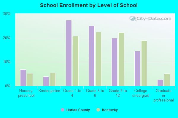 School Enrollment by Level of School