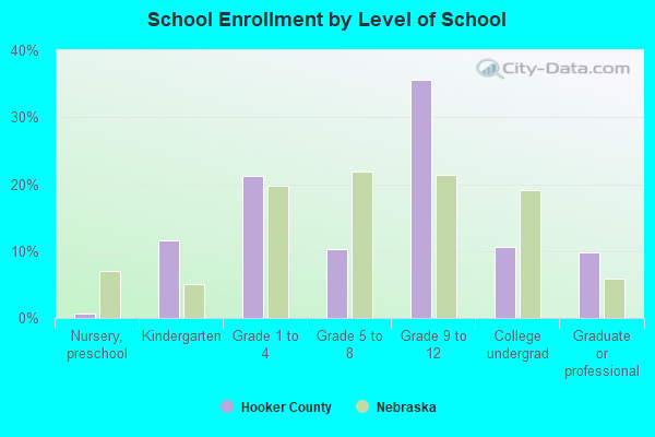 School Enrollment by Level of School