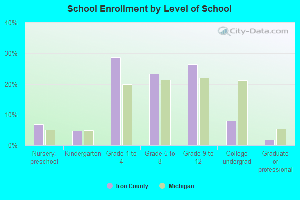 School Enrollment by Level of School