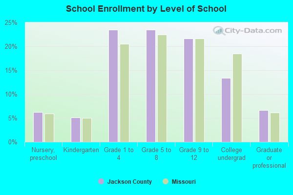 School Enrollment by Level of School