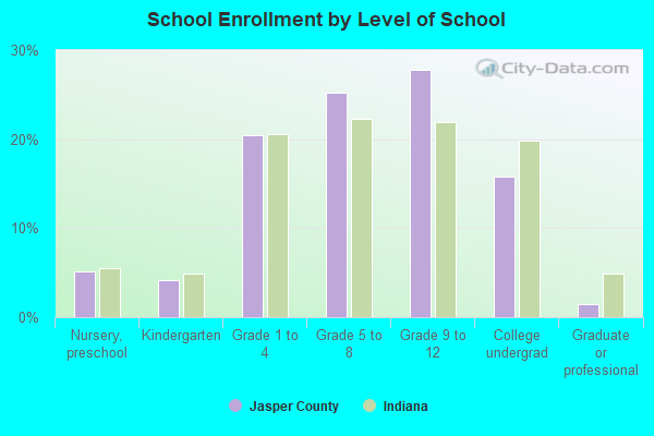 School Enrollment by Level of School