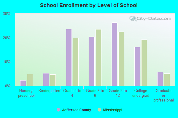 School Enrollment by Level of School