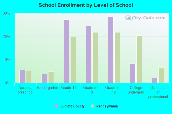 School Enrollment by Level of School