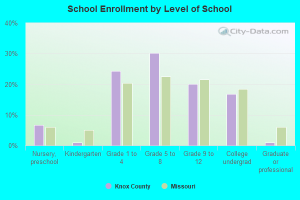 School Enrollment by Level of School