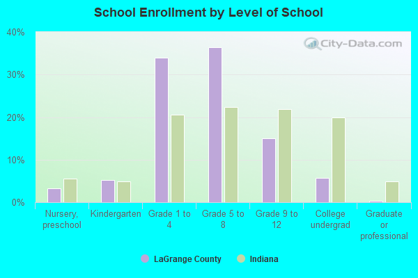 School Enrollment by Level of School