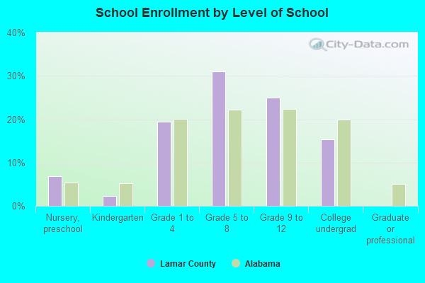 School Enrollment by Level of School