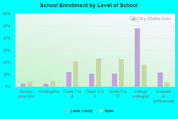 School Enrollment by Level of School