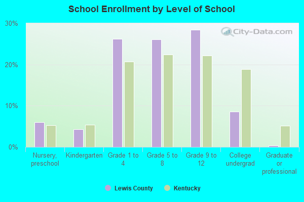 School Enrollment by Level of School