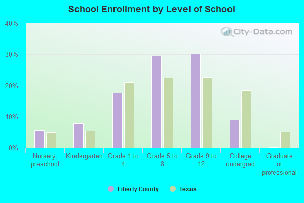 School Enrollment by Level of School