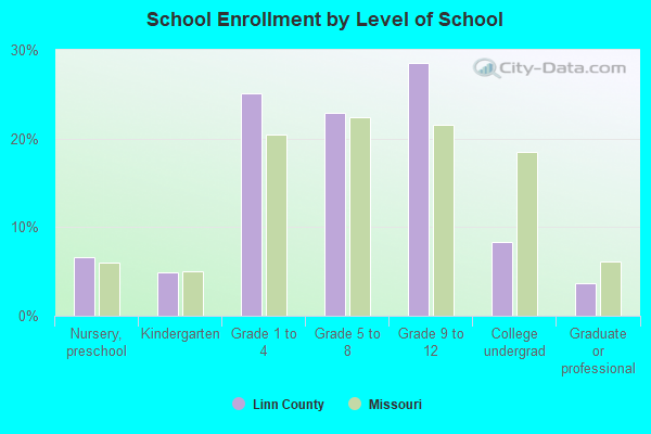 School Enrollment by Level of School