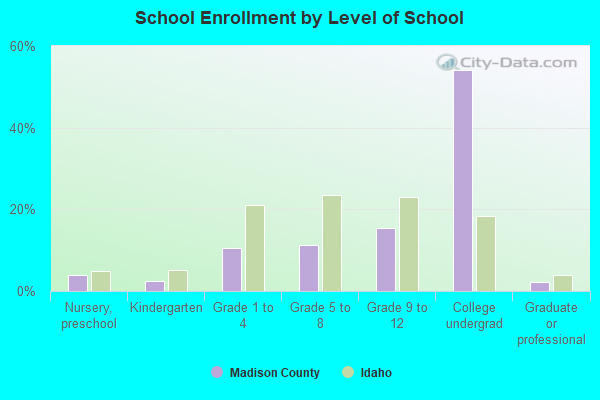 School Enrollment by Level of School