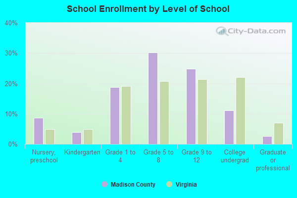 School Enrollment by Level of School