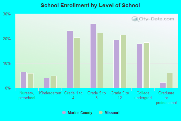 School Enrollment by Level of School