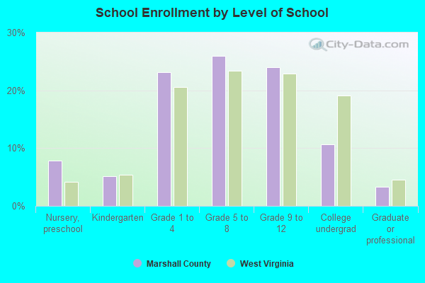 School Enrollment by Level of School