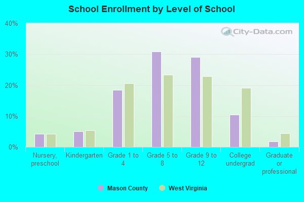 School Enrollment by Level of School