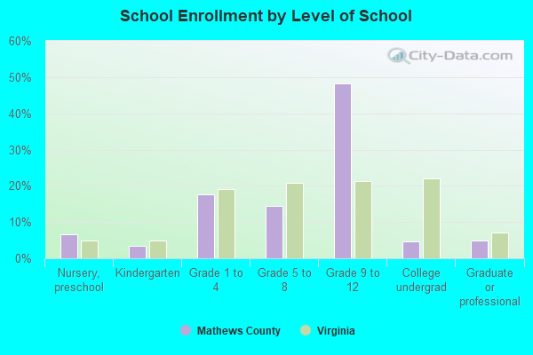 School Enrollment by Level of School