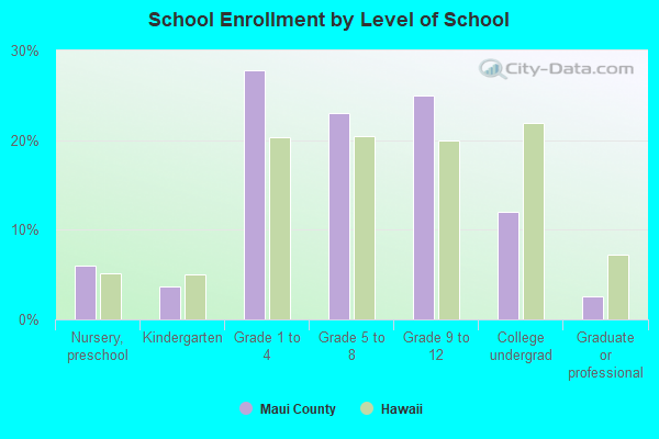 School Enrollment by Level of School