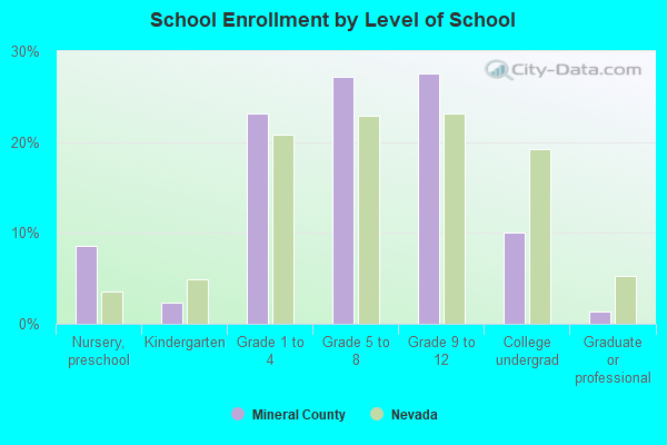 School Enrollment by Level of School